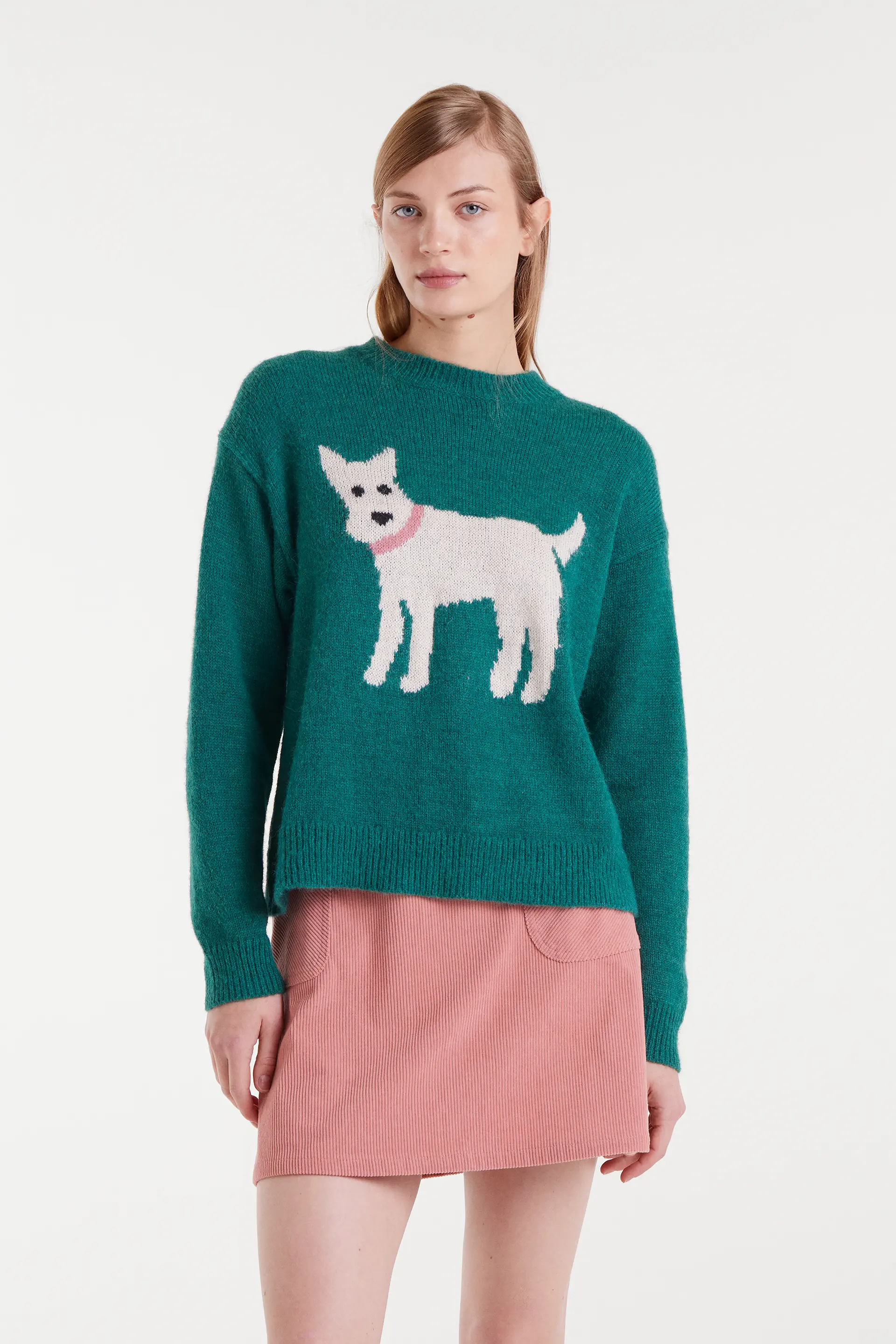 Jersey de punto jacquard con estampado perro schnauzer