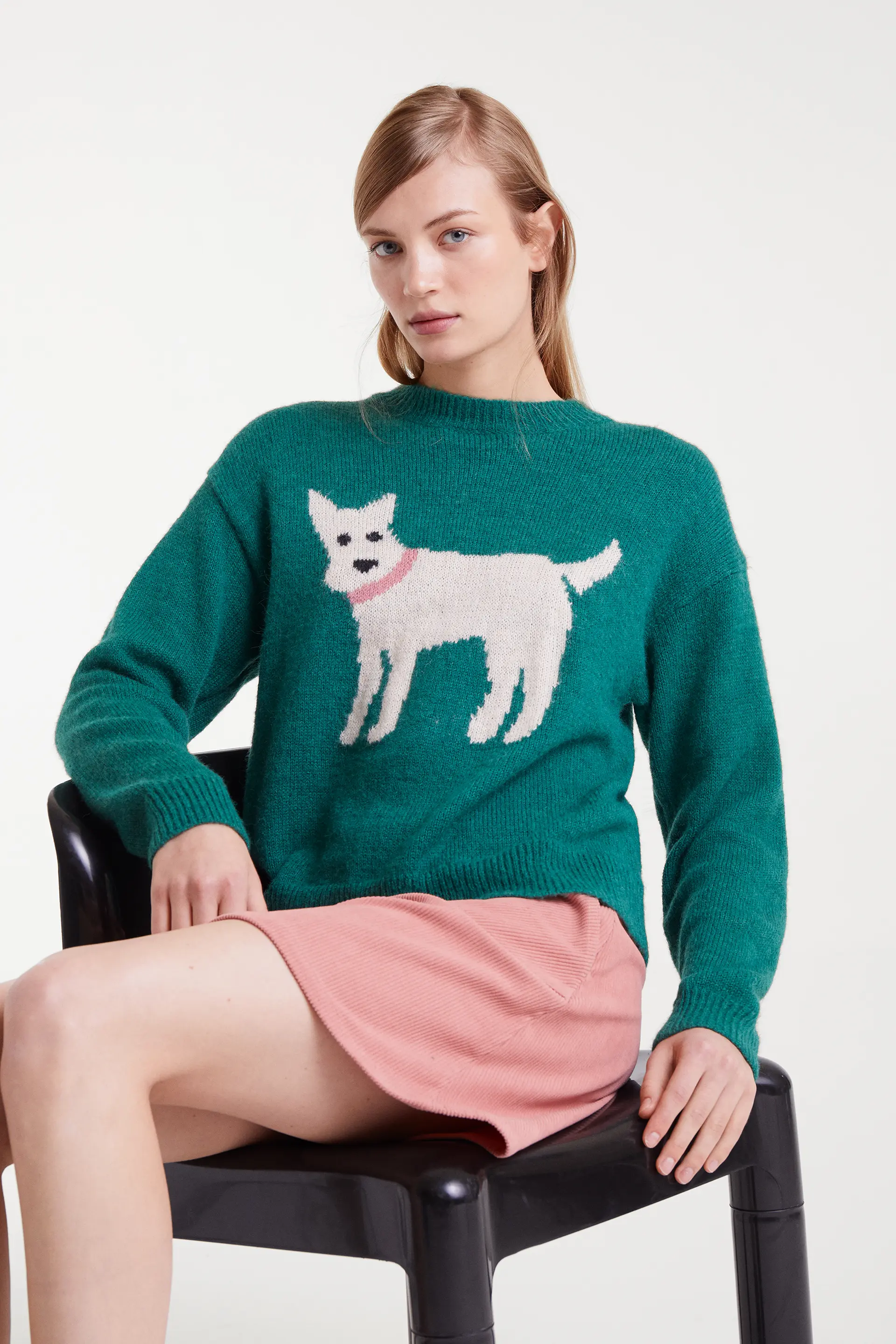 Jersey de punto jacquard con estampado perro schnauzer - Image 6